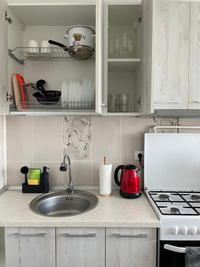 Elite Apartment ترجوفيشت المظهر الخارجي الصورة